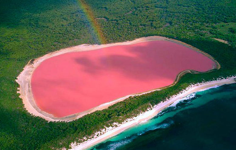 pink lake.PNG