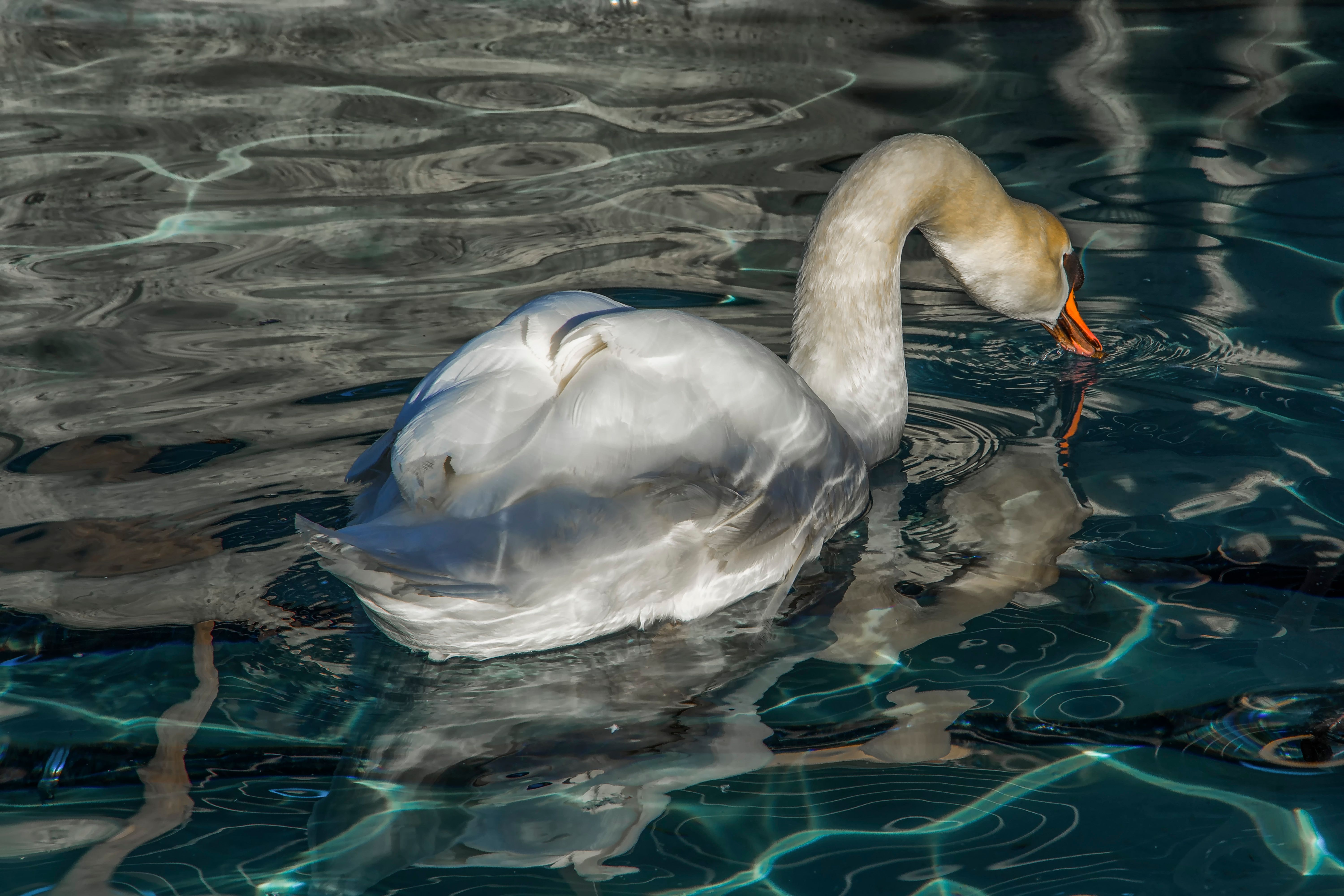_DSC7889.jpg