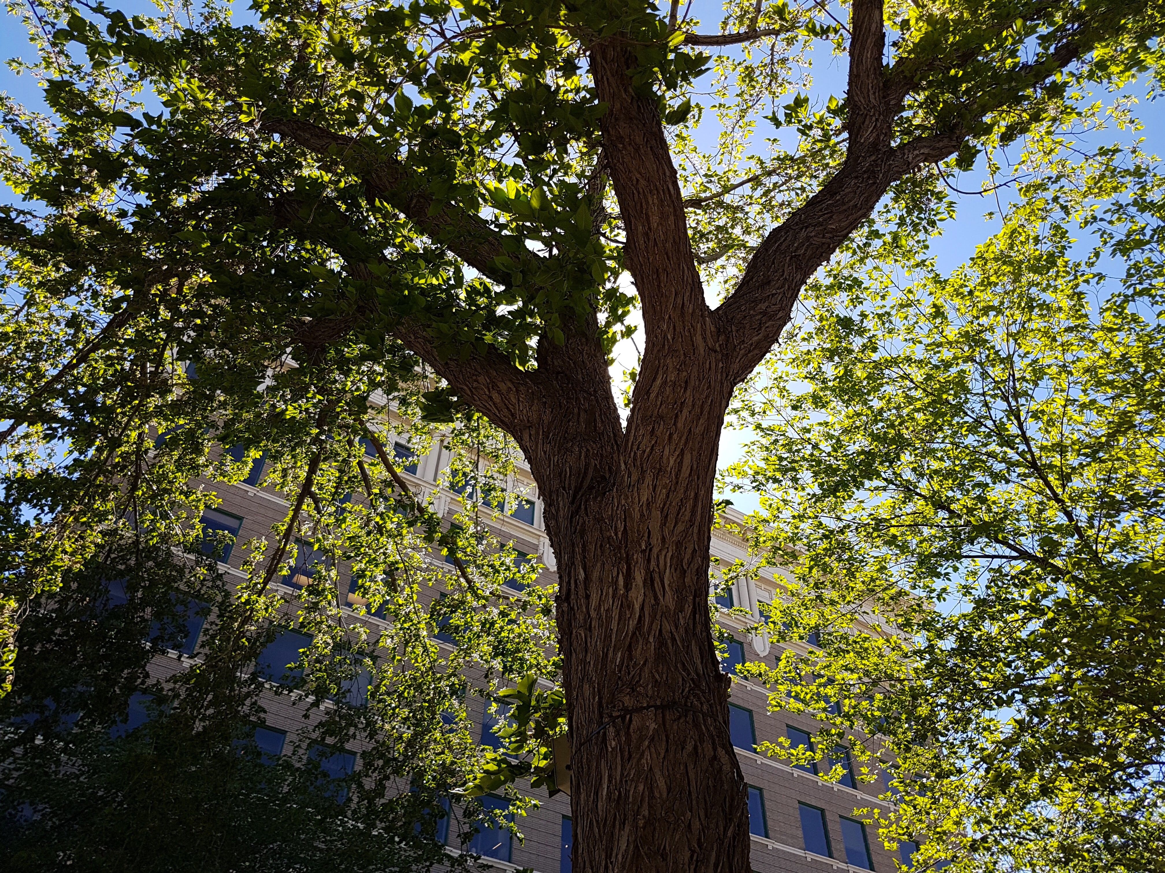 4E325BB0-CFAF-4492-A776-AF48B0B7DE56.JPG