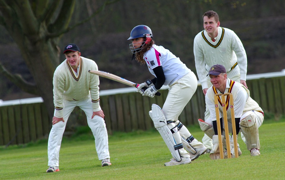 cricket-724615_960_720.jpg