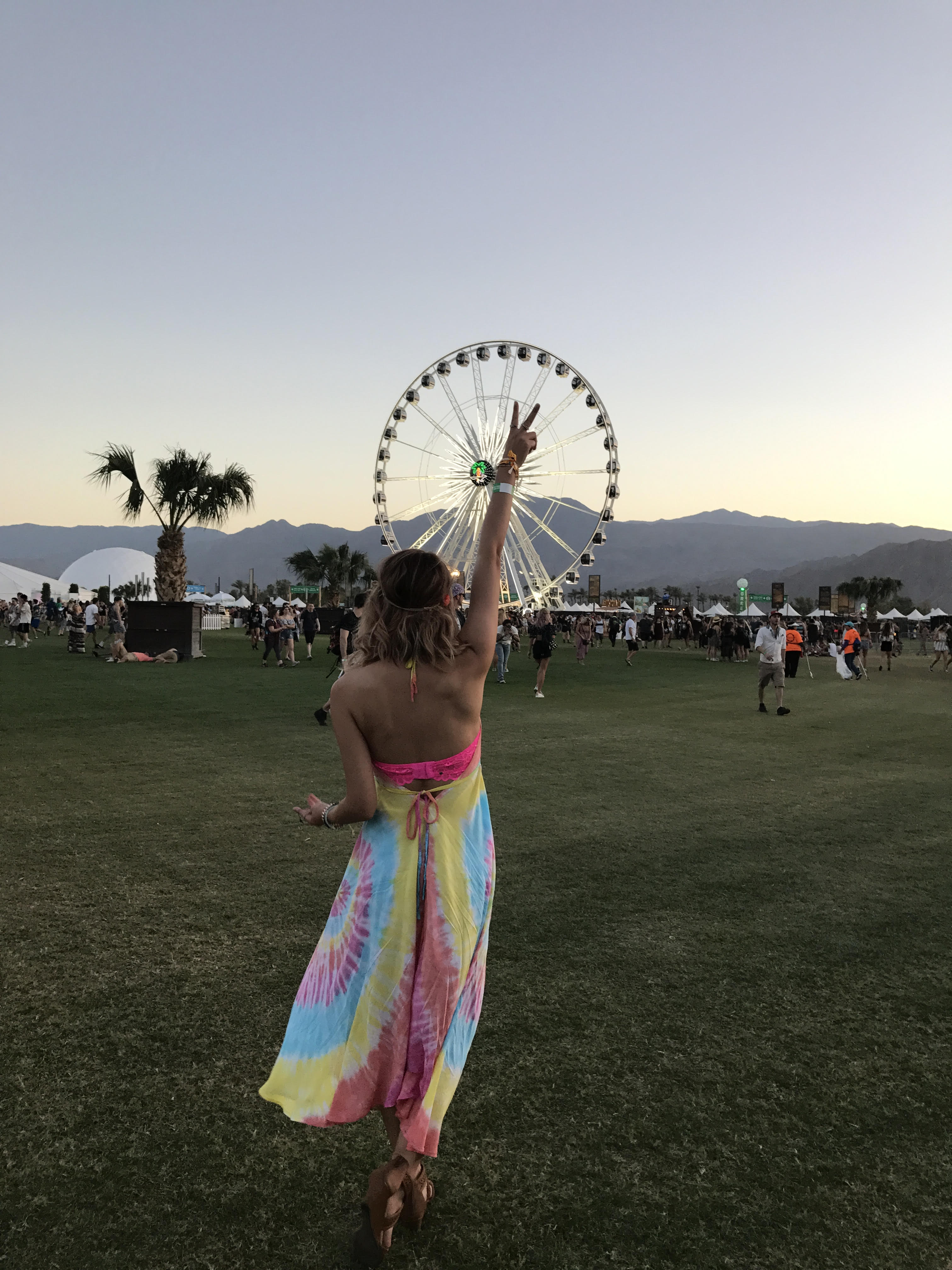 Coachella Whimsicalfawn 01.jpg