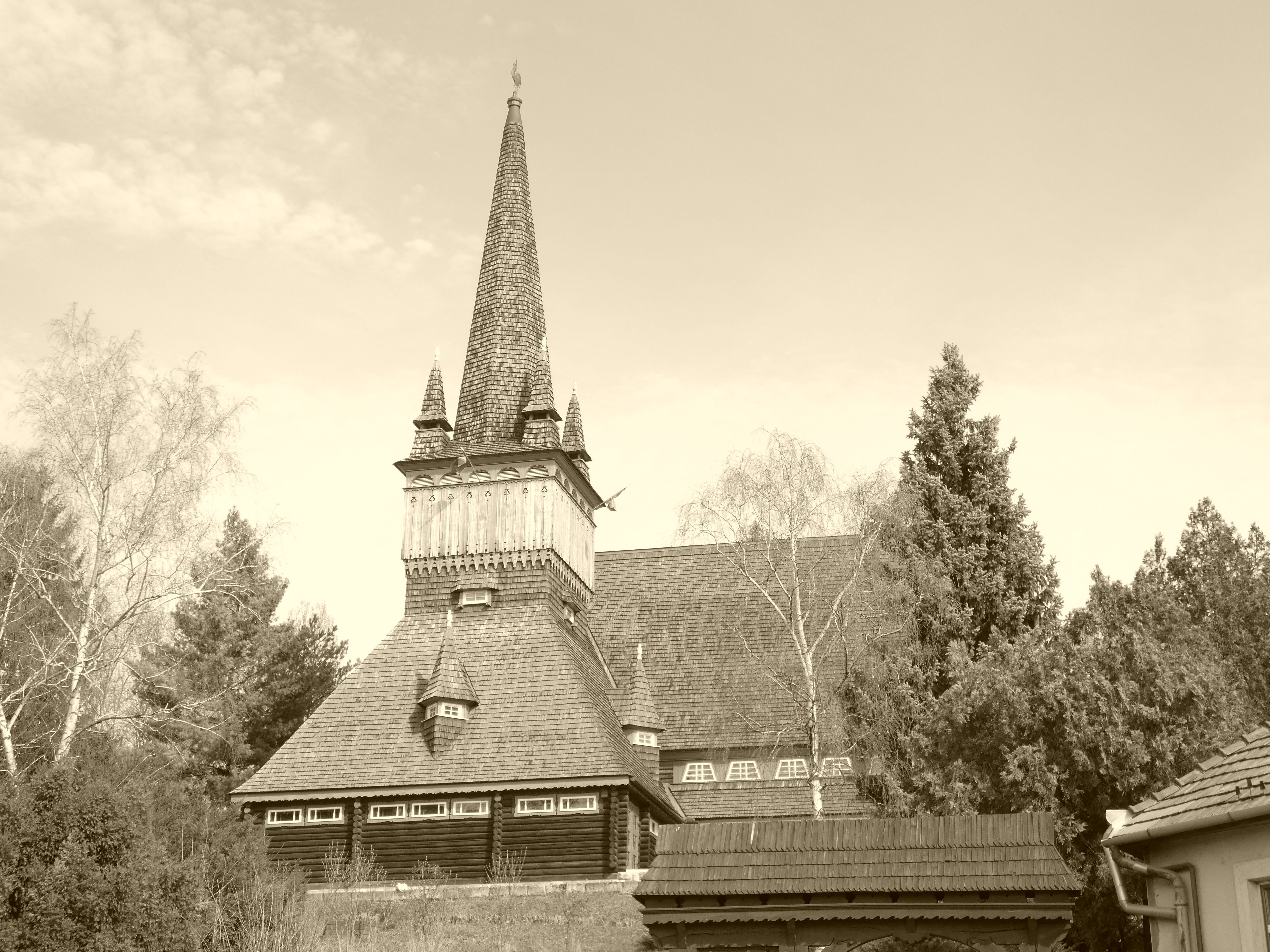 P1060859.JPG