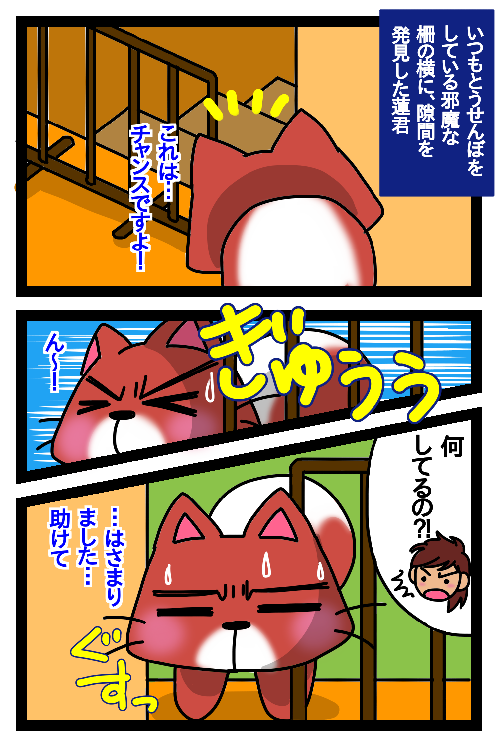 IMG_6966.PNG
