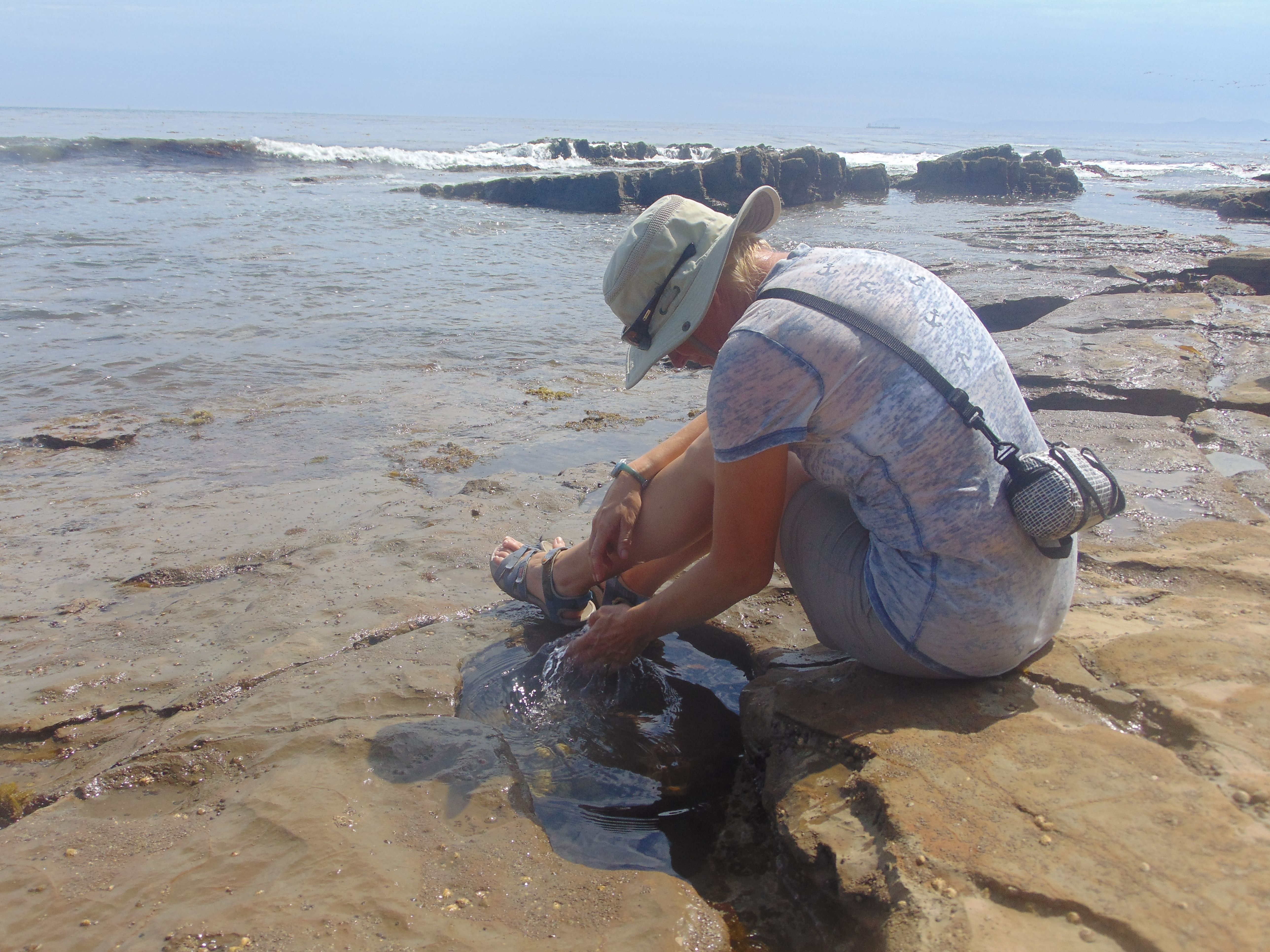 Tidepool Angela.JPG