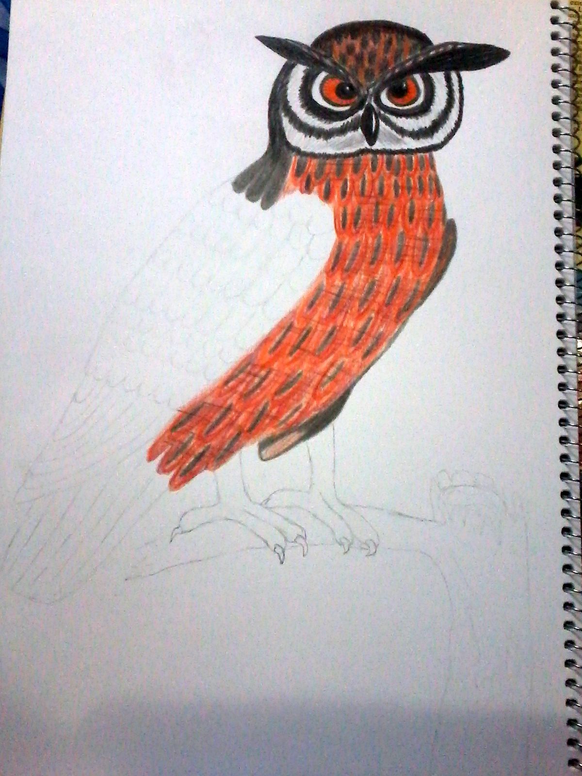 proceso3.jpg