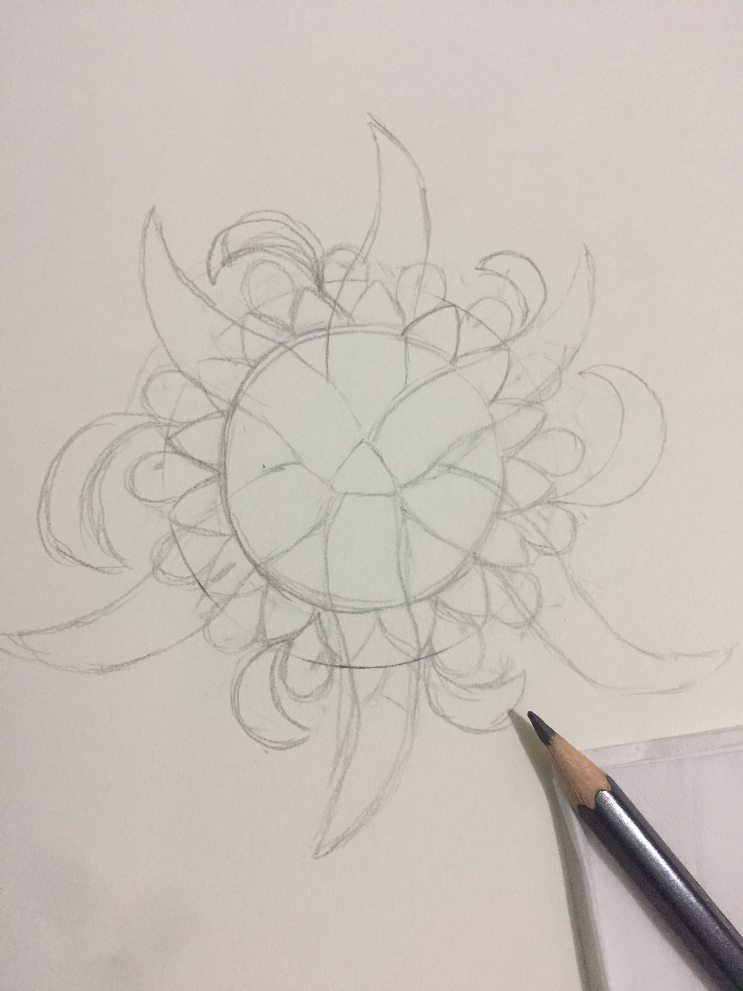 Orcheva Doodle Art Cananga Flower Steemit