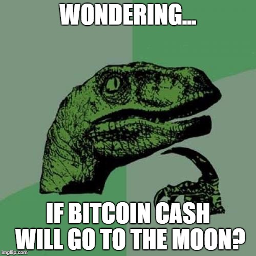 bitcoin cash wondering.jpg