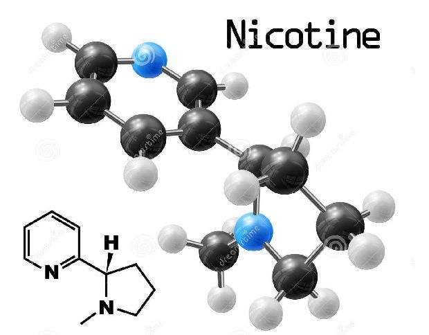 Nicotine molecule.jpg