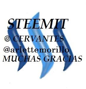 MUCHAS GRACIAS STEEMIT.jpg