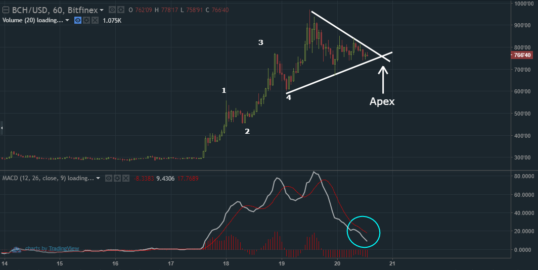 Bitcoin Cash Update Apex Alert What What Does That Mean Find Out And Read This Blog Steemit