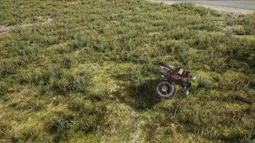 NYXJ7573.GIF