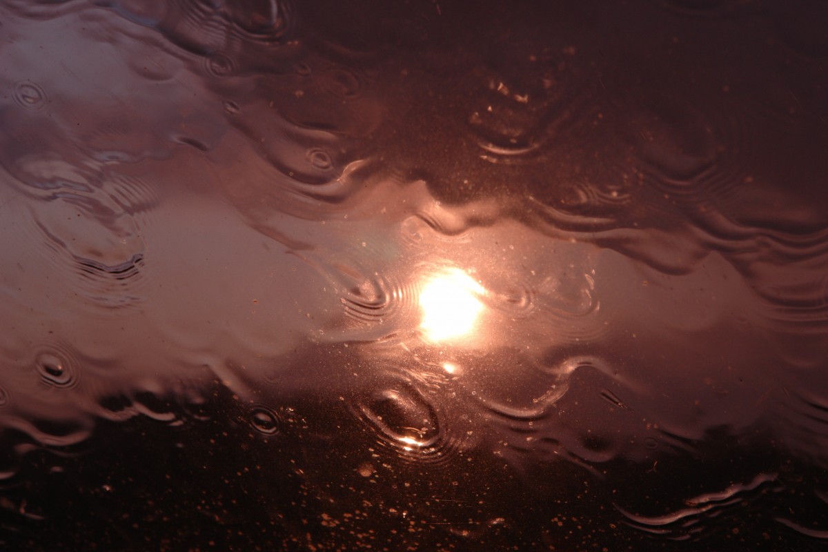 rain_sun_weather_water_drip_reflection-941033.jpg