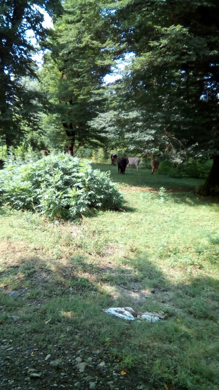 IMG-20170923-WA0018.jpg