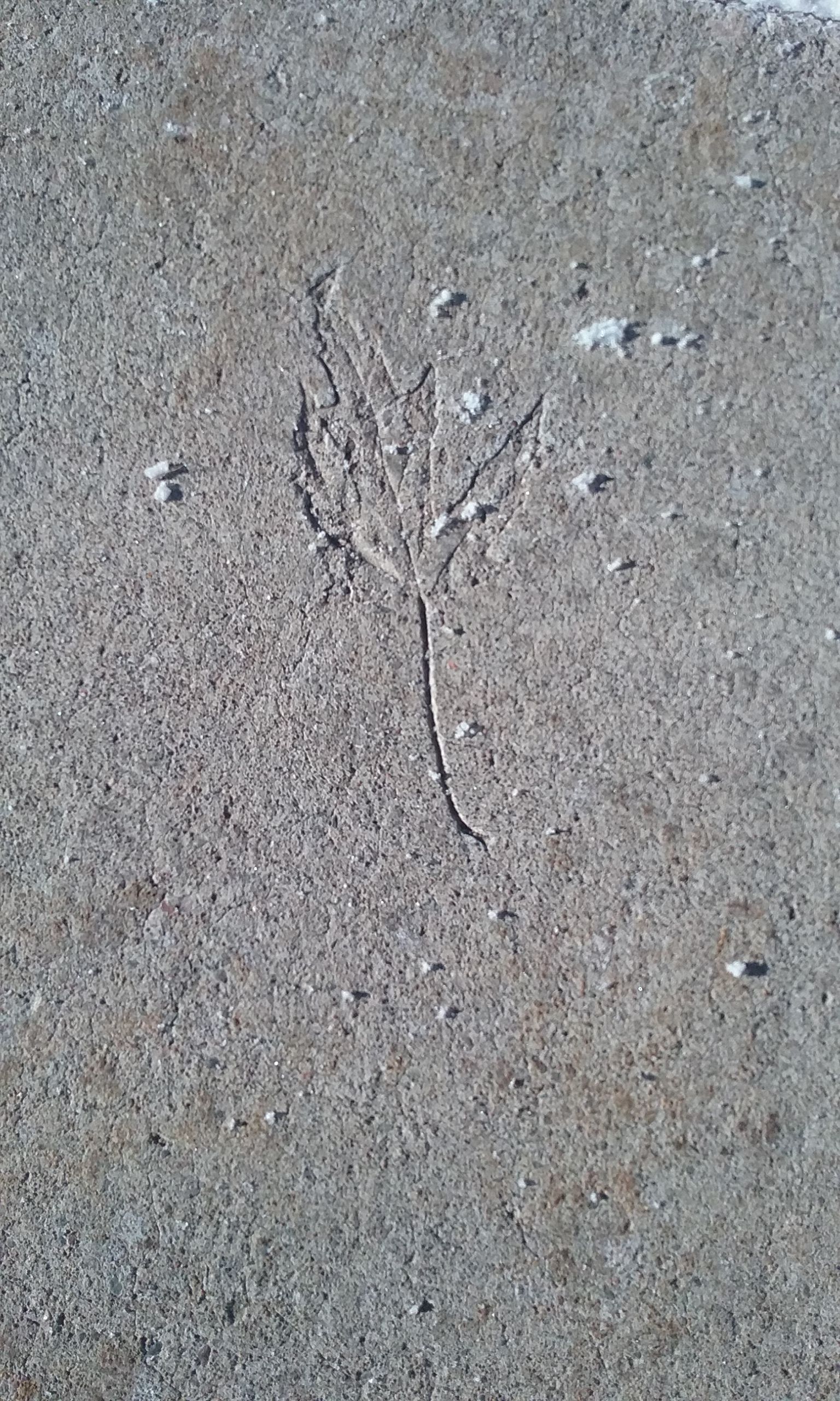 20180204_142057.jpg