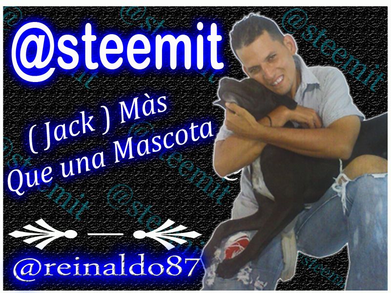 presentacion jack.jpg