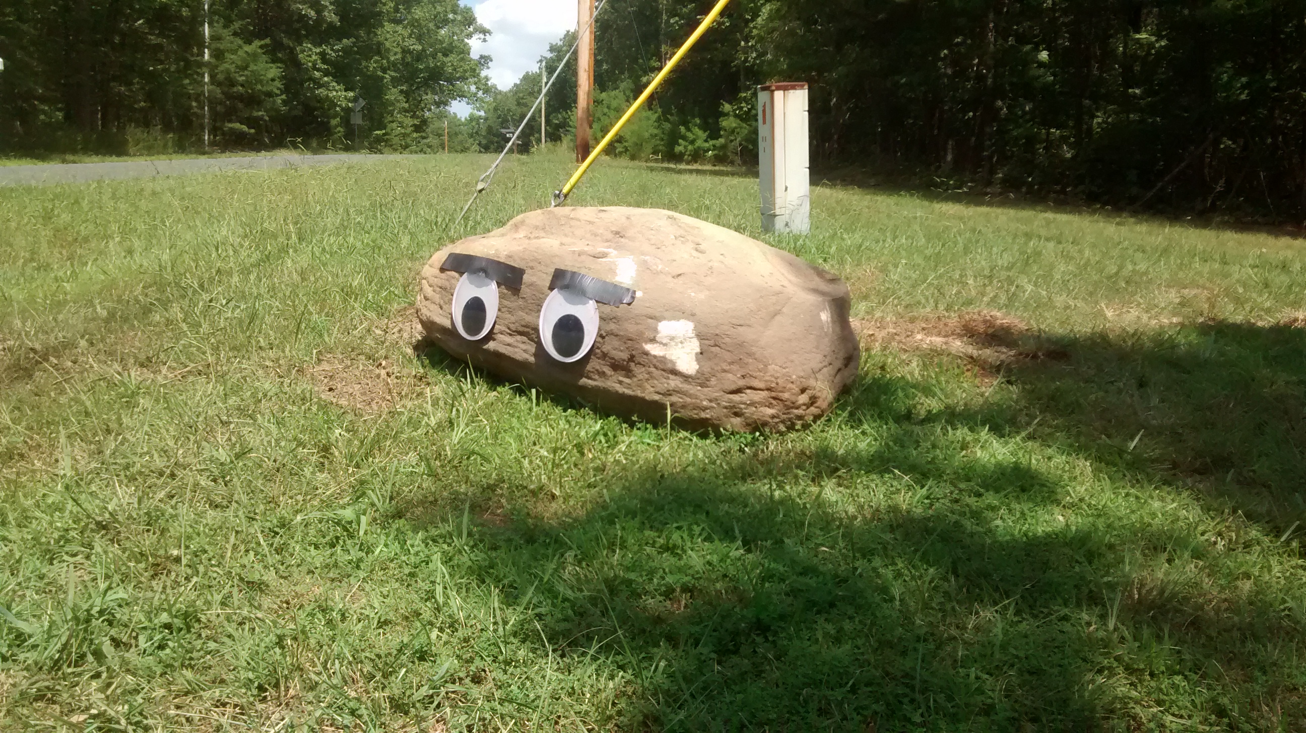 Nothing to see here just an angry rock with giant googly eyes and