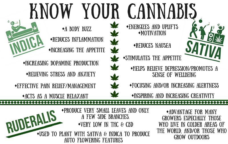 Know your cannabis.jpg