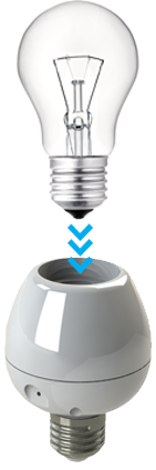 vocca-plus-bulb.png