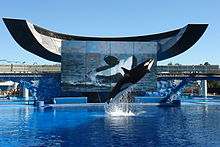 220px-SeaWorldBelieve.JPG