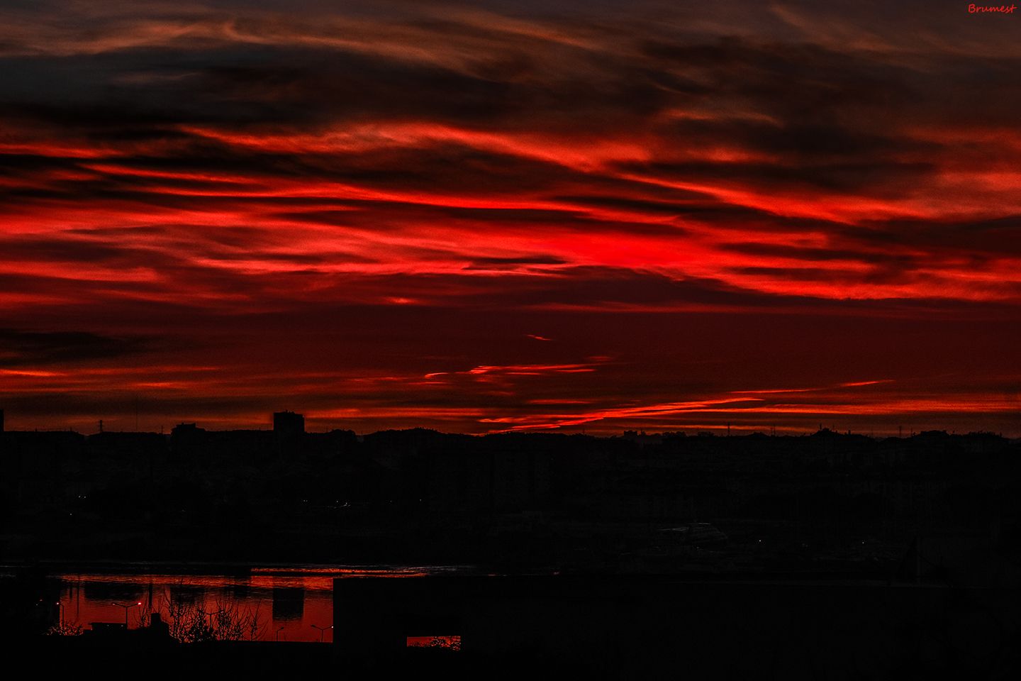 DSC_4319-2RED-3-fb.jpg