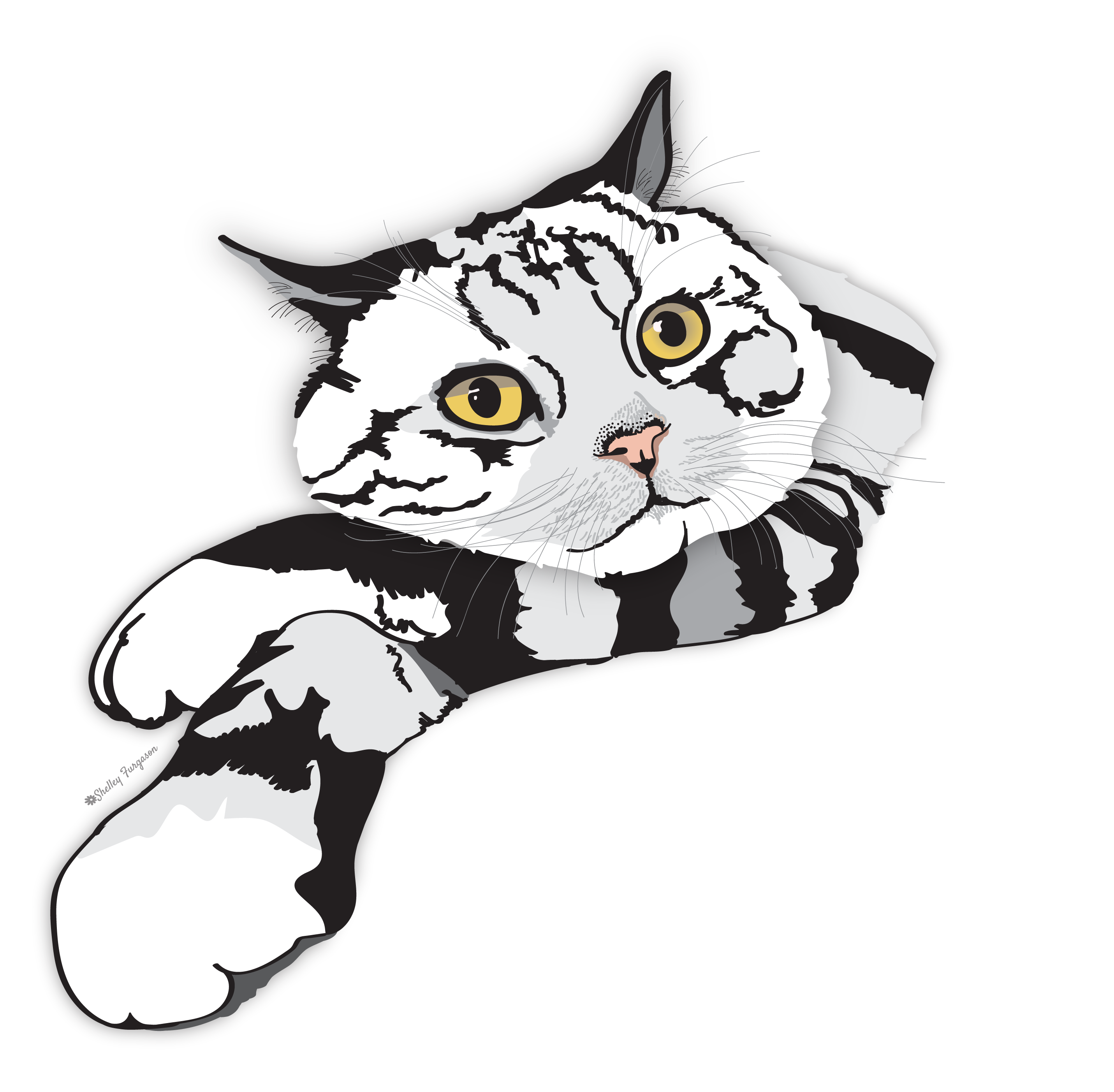 Cat-01.png