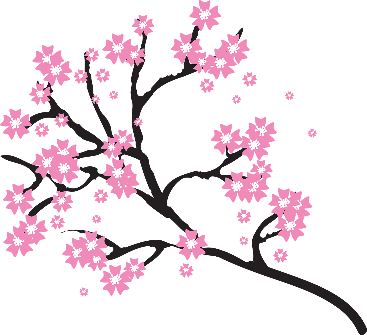 blossoms-2026207_1280.png