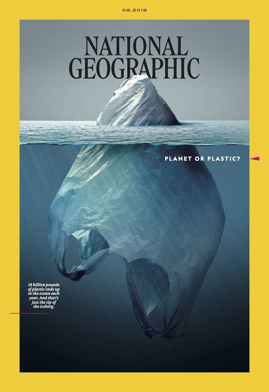 plastic-crisis-impact-on-wildlife-national-geographic-june-issue-cover-18-5afd83cf37ffc__880.jpg