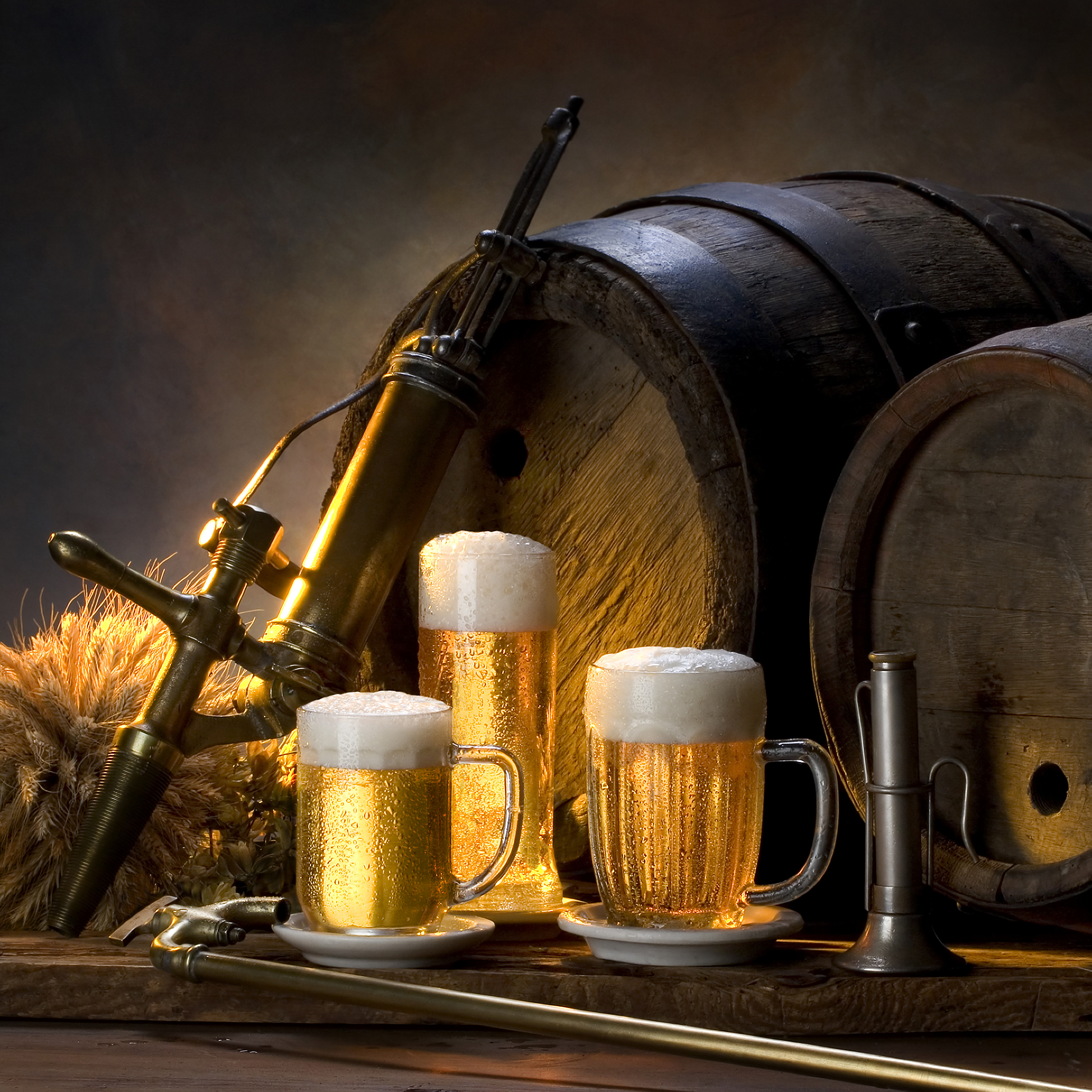 shutterstock_24016120.jpg