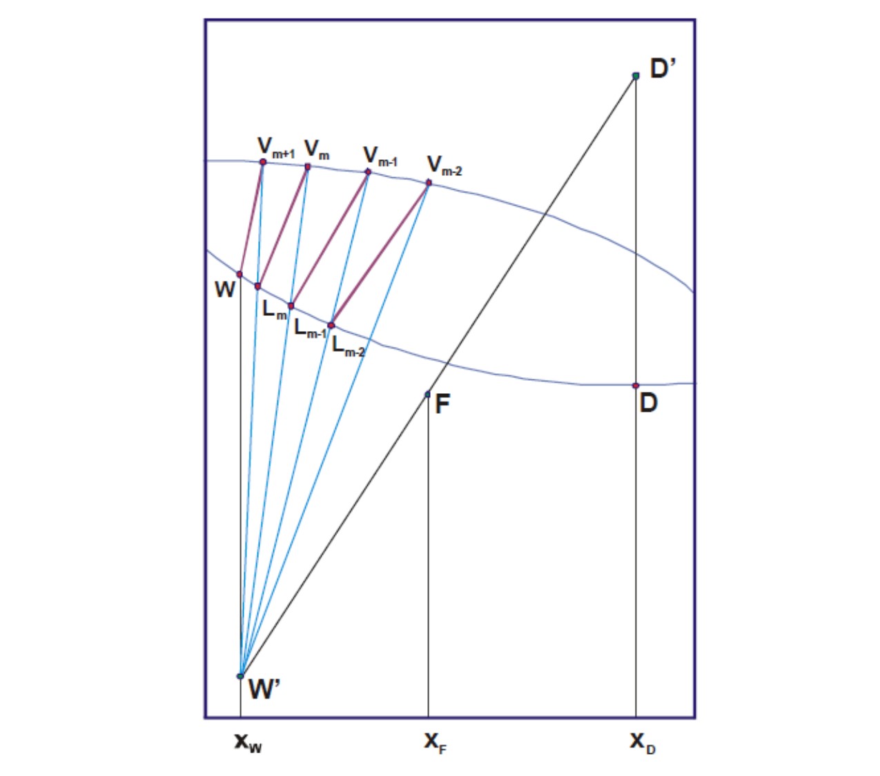 figura5.jpg