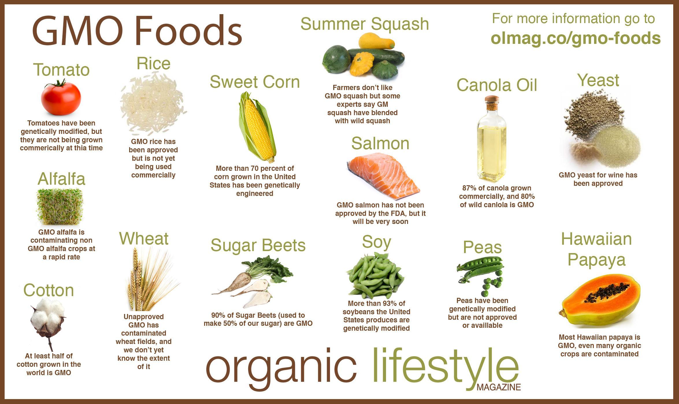 gmo-Foods-Infographic.jpg