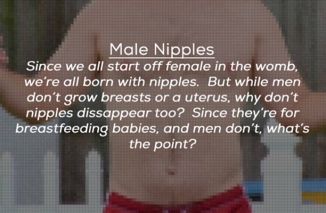 turns_out_we_have_many_organs_that_we_could_easily_live_without_640_24.jpg