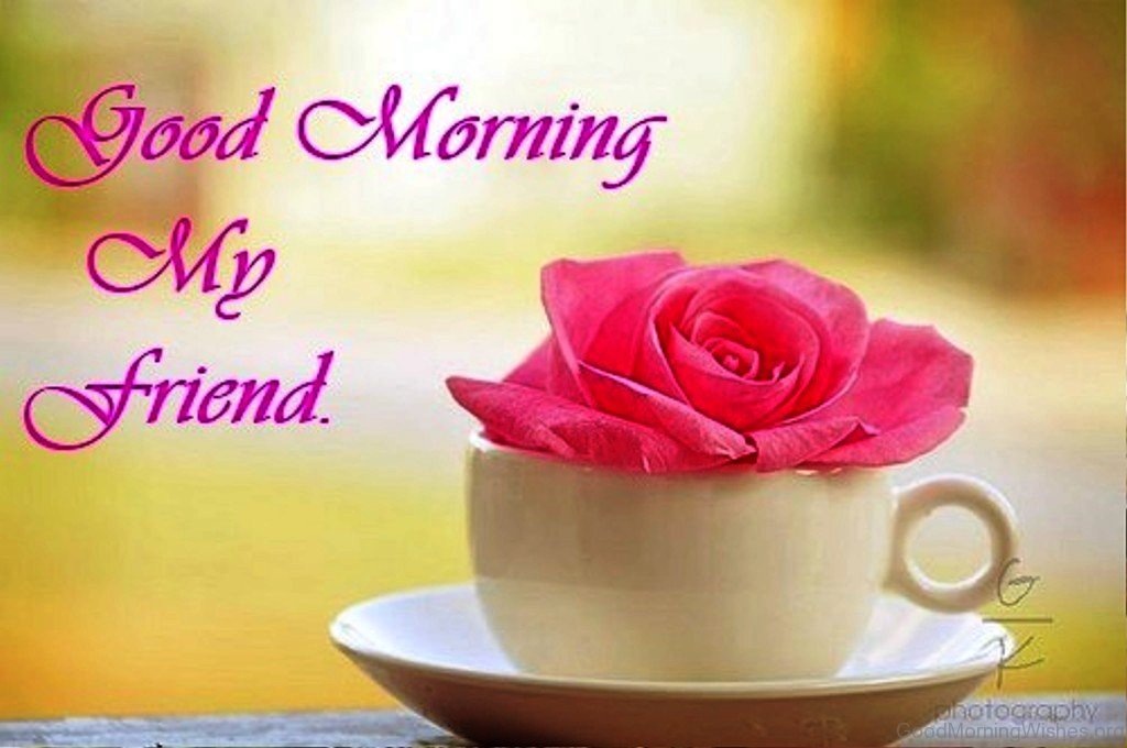 Image result for good morning my friend images