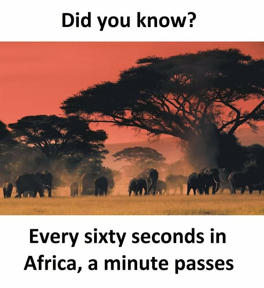 Африка в картинках для доклада. Every 60 seconds in Africa a minute Passes. Реферат про Африку. Every knows that.