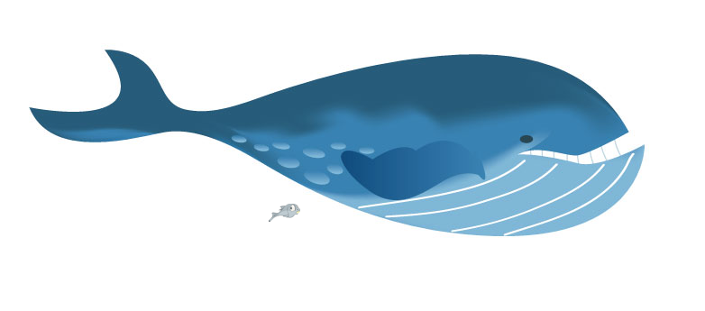 whale.png