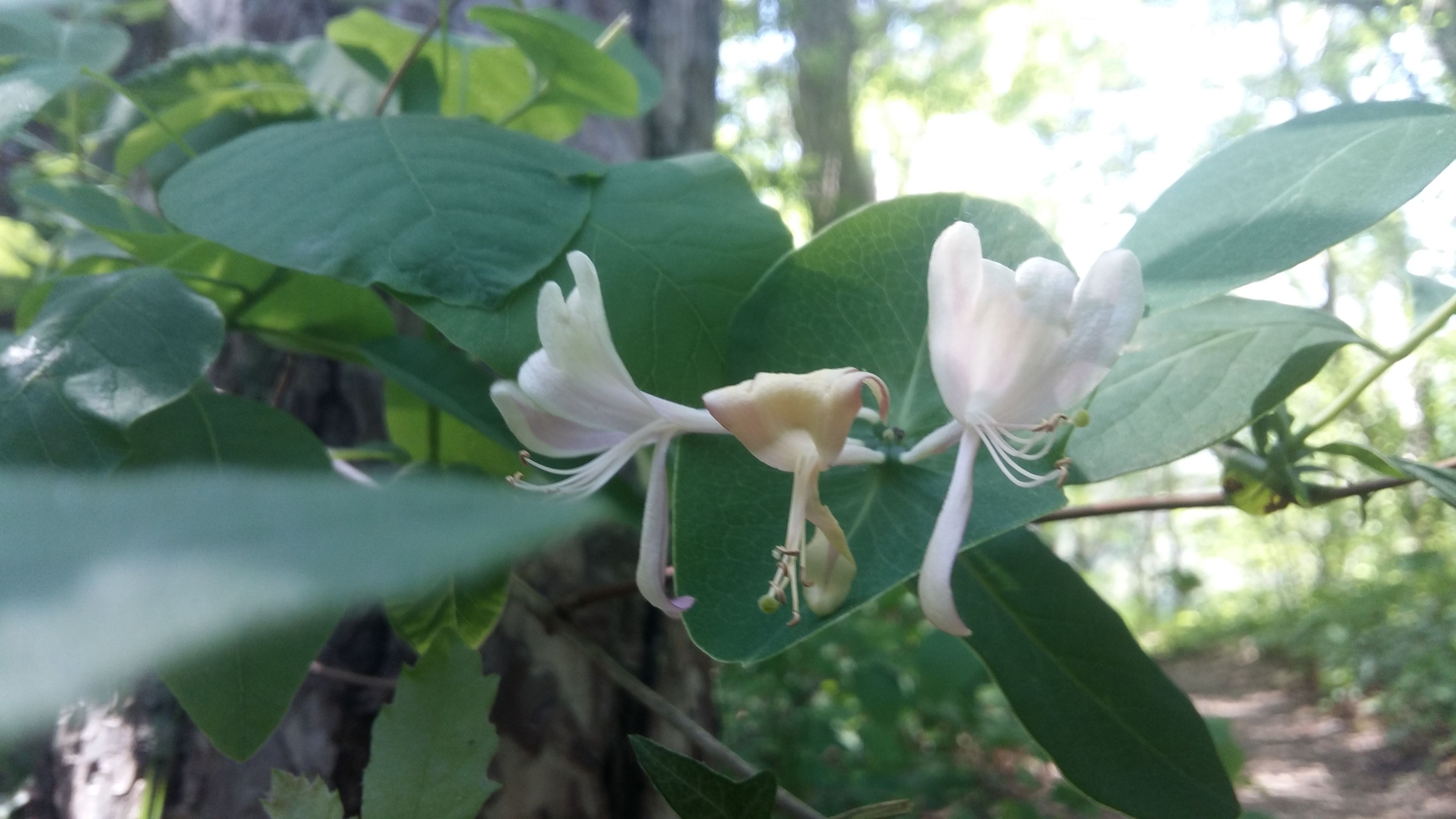 20180502_151220.jpg