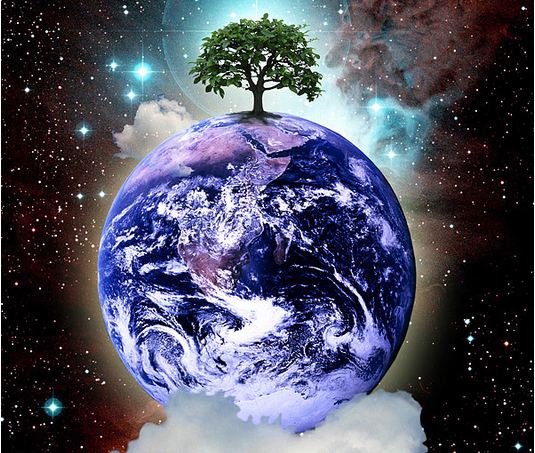 mother-earth-tree.jpg