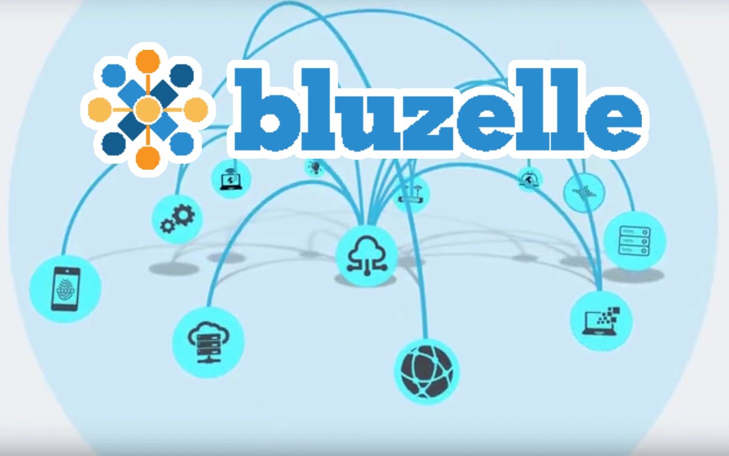 Bluzelle的基本介紹及背景資料整理