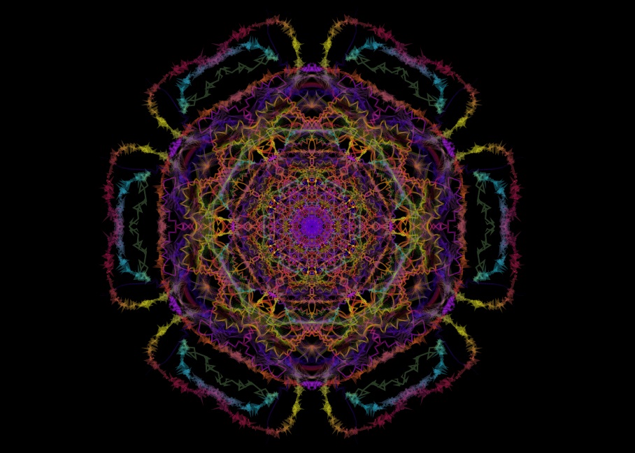 600.jpg