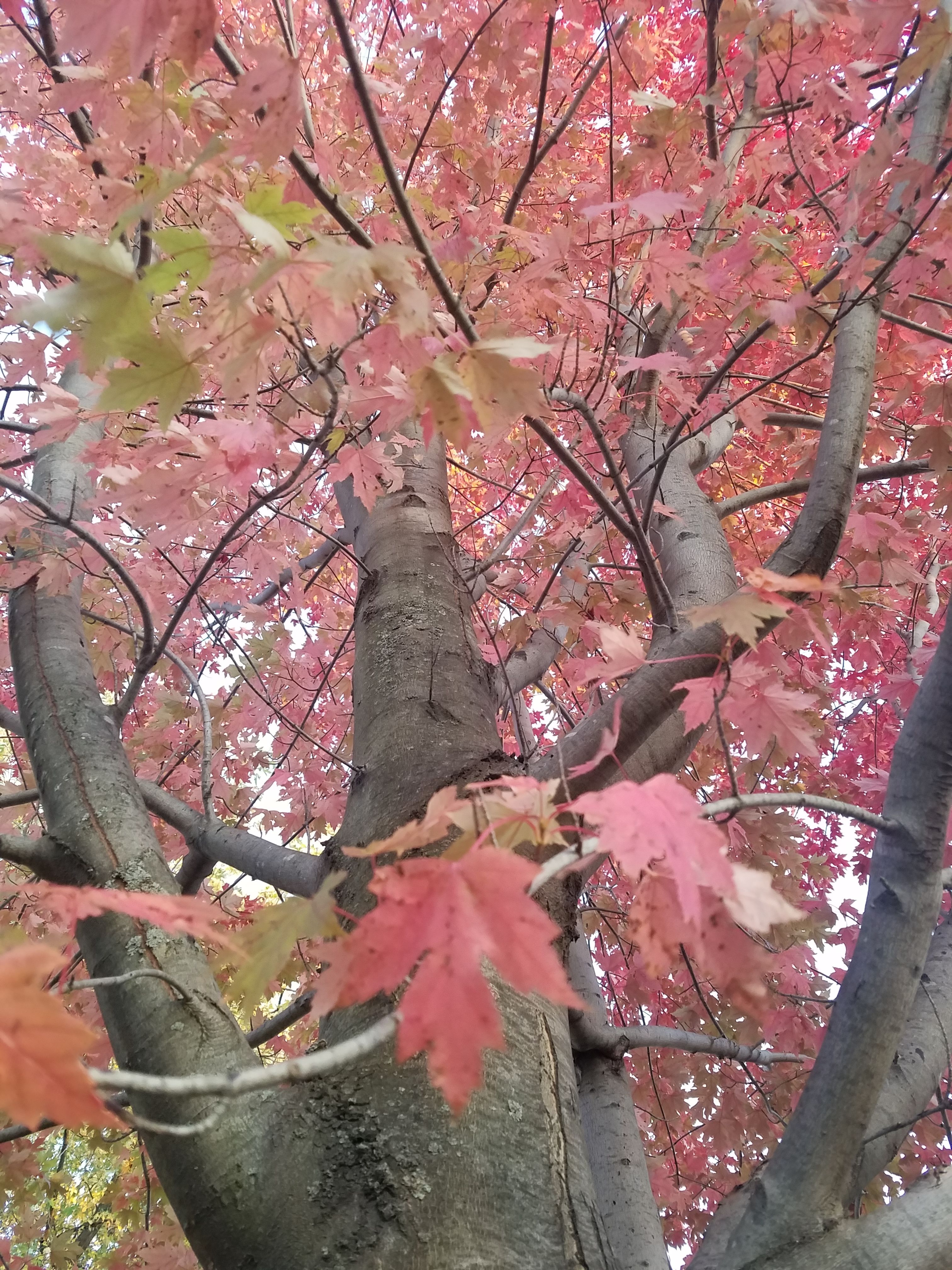 20171024_175433.jpg