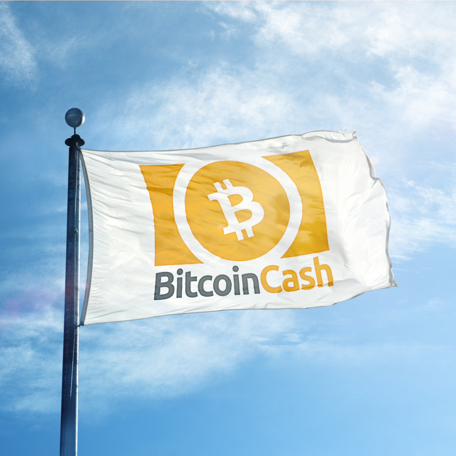 bitcoin-cash-1.png