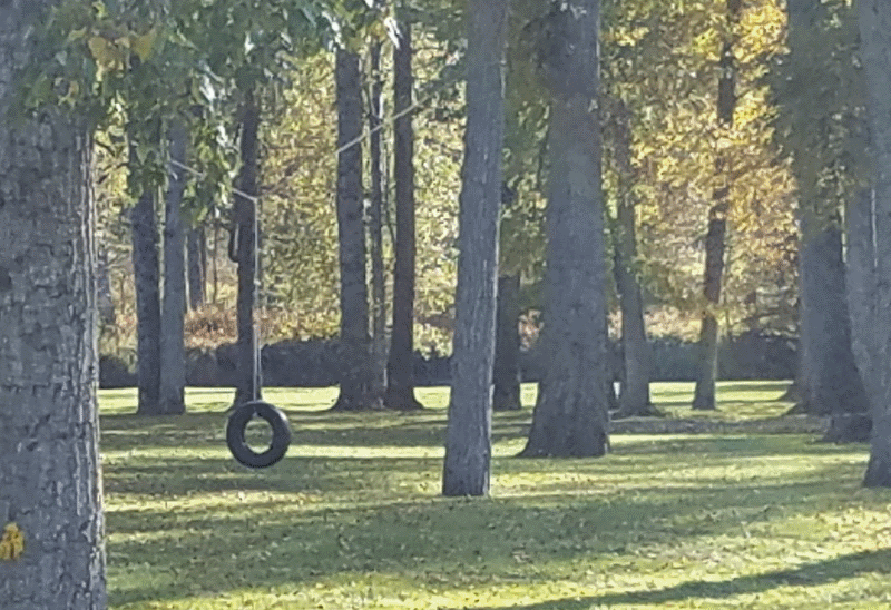 Tire swing sm.png