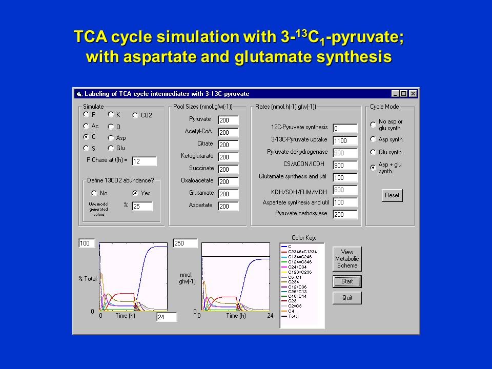 MetabolicFluxAnalysis15.jpg