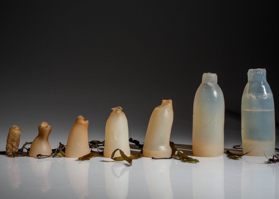 algae-water-bottle-by-ari-jonsson-designmarch_dezeen_ban-936x669.jpg
