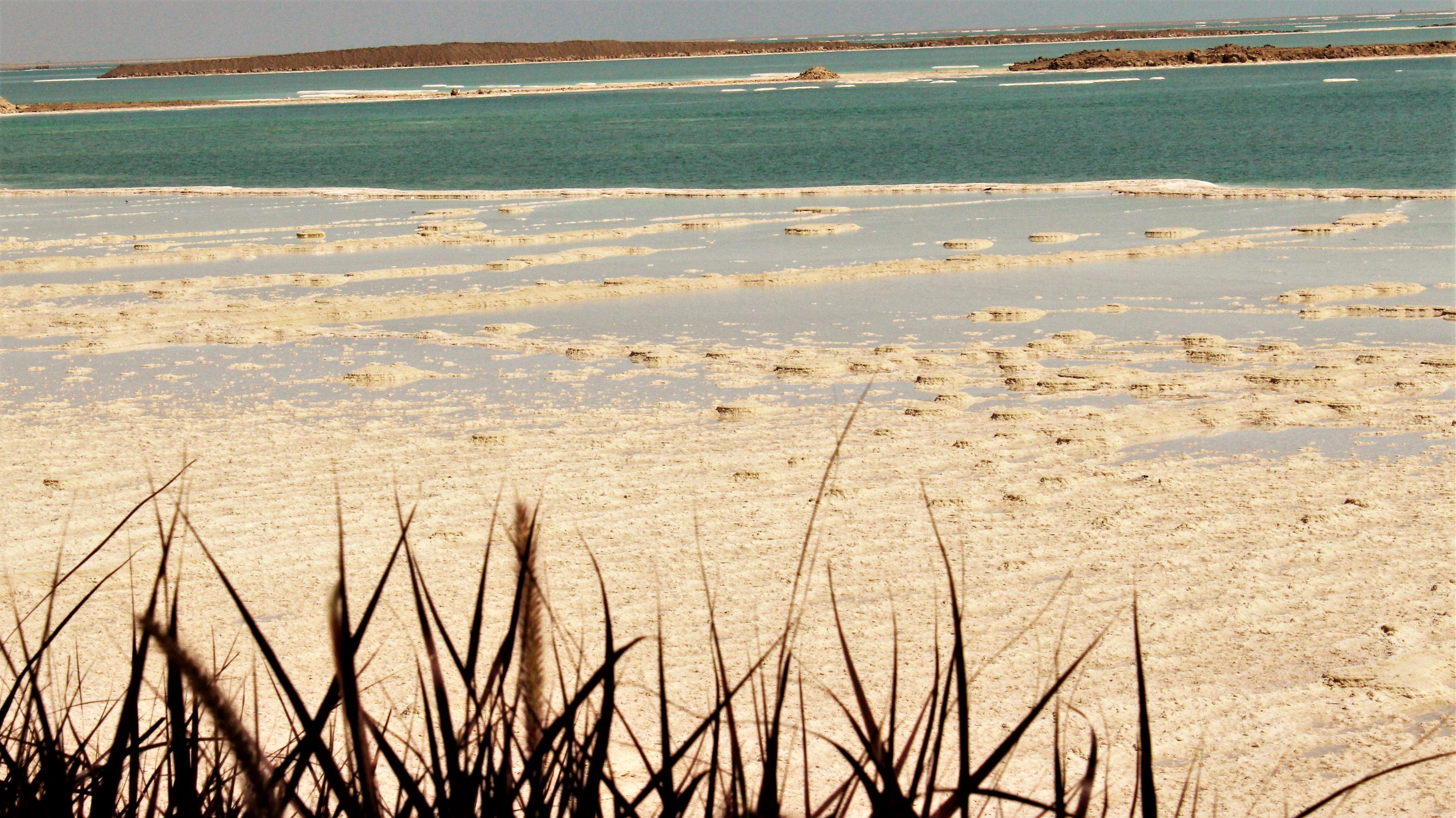 dead sea colors.JPG