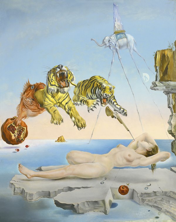 dali-pomegranate.jpg