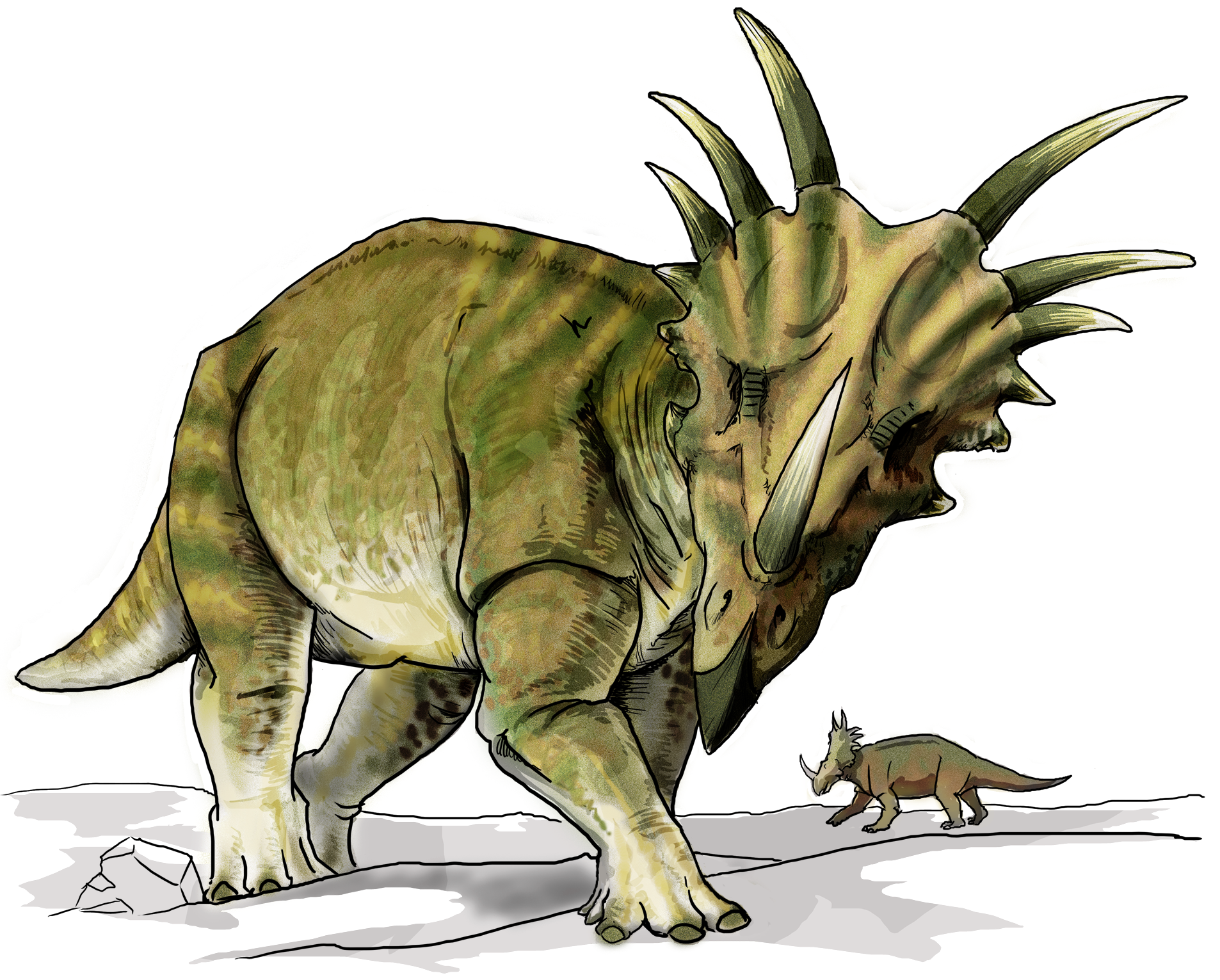 Styracosaurus_dinosaur.png