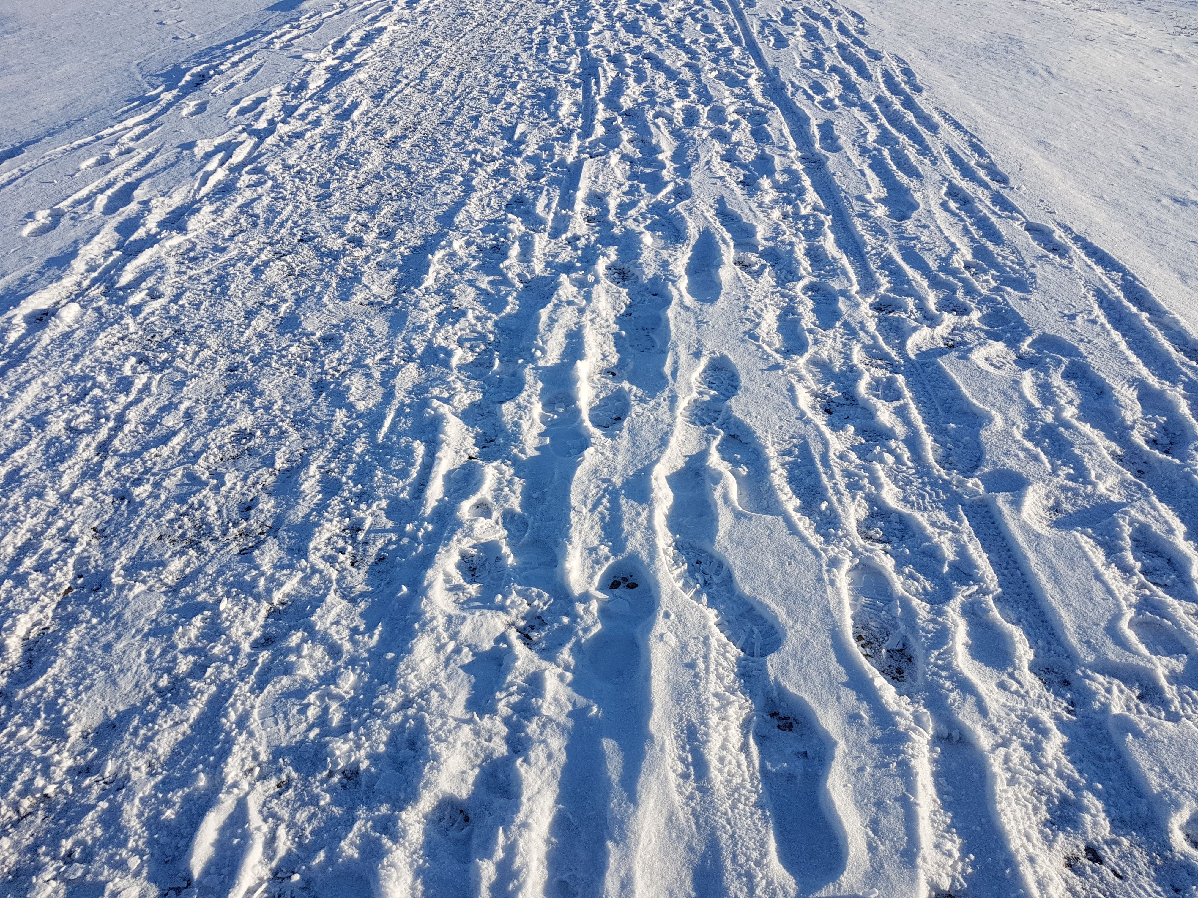 20180226_083439.jpg