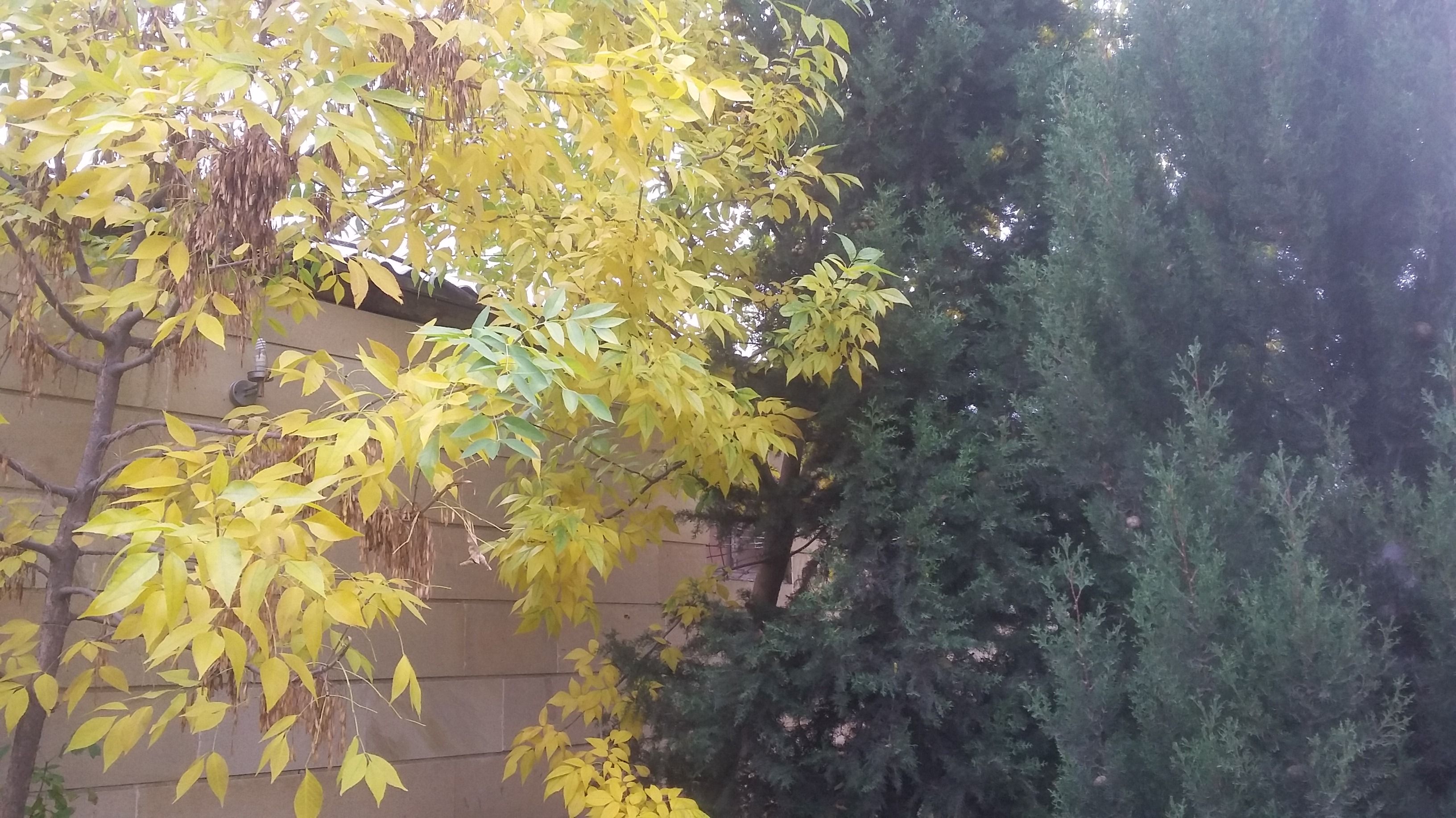 20171024_165047.jpg