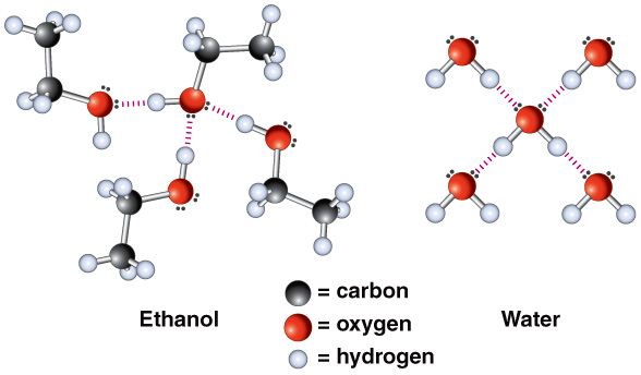 Этанол 4. Молекула эналаприла. Ethanol and Water. Ethanol structure of molecule. Alcohol hydrogen Bond.