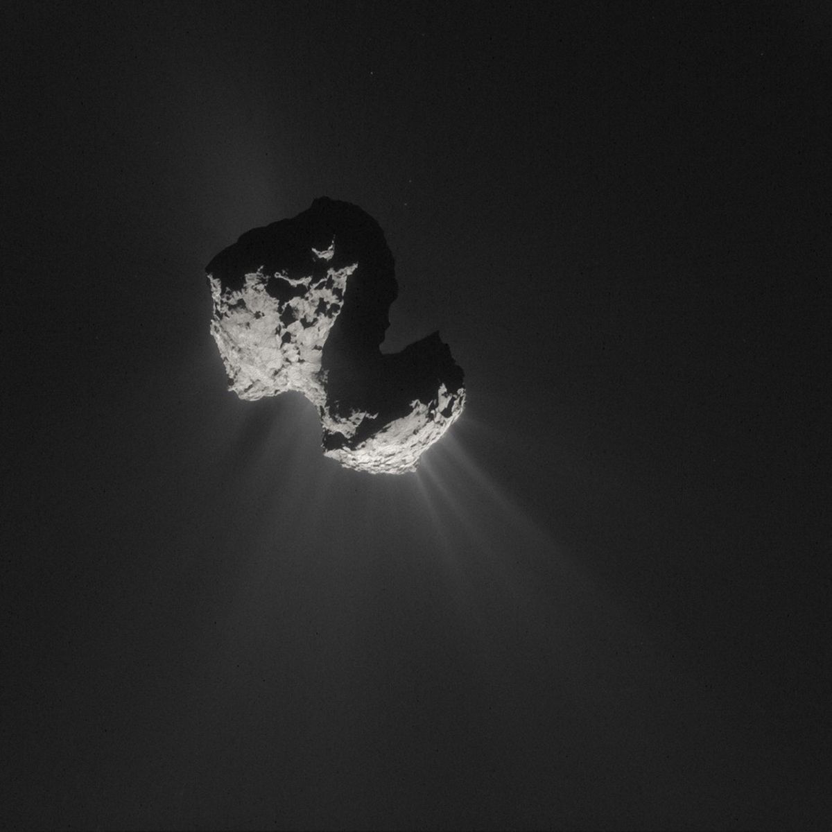 comet67p.jpg